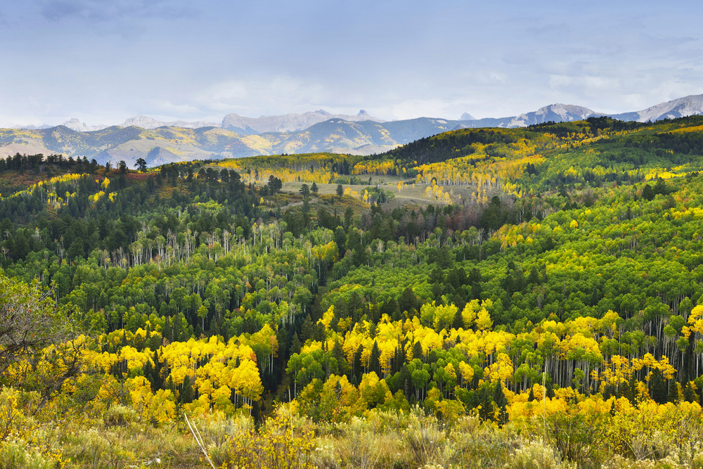 Colorado