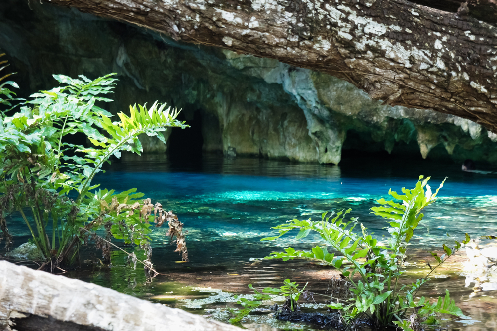 Cenotes