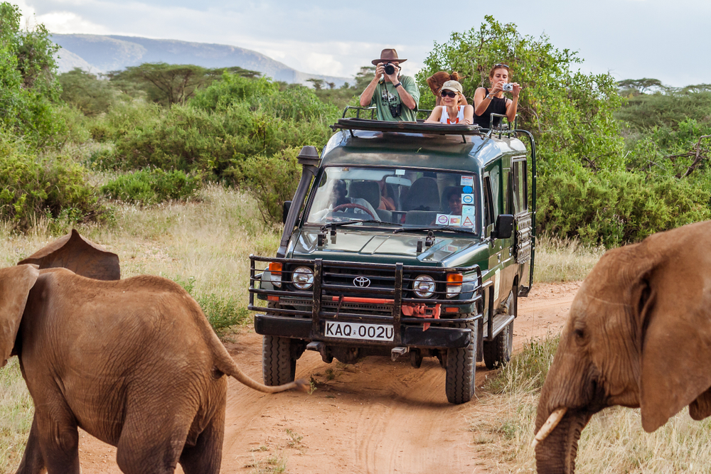 safari trip