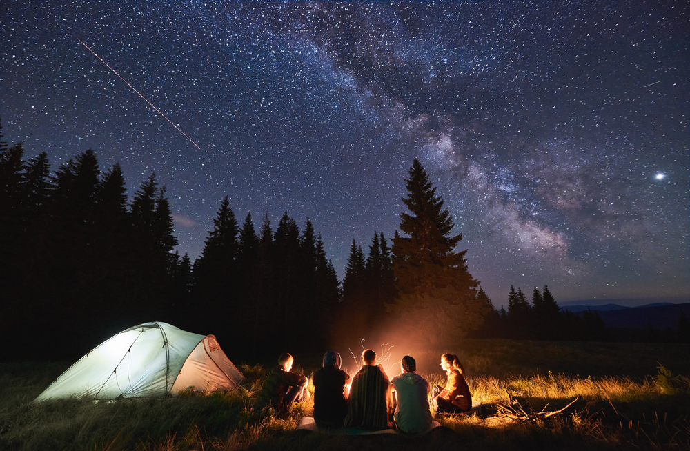 Forest Camping