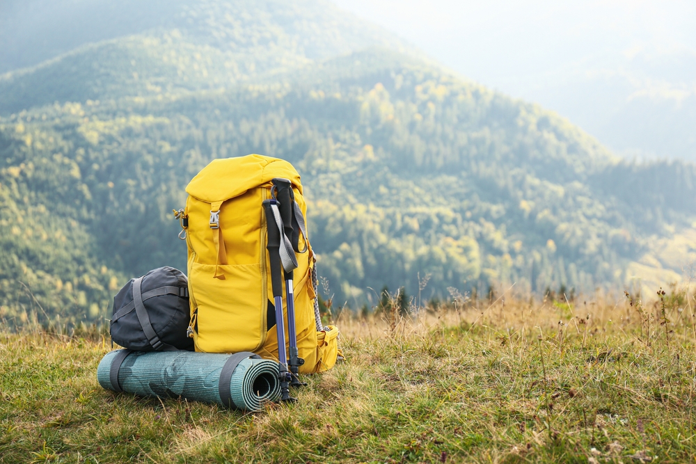 Forest Camping